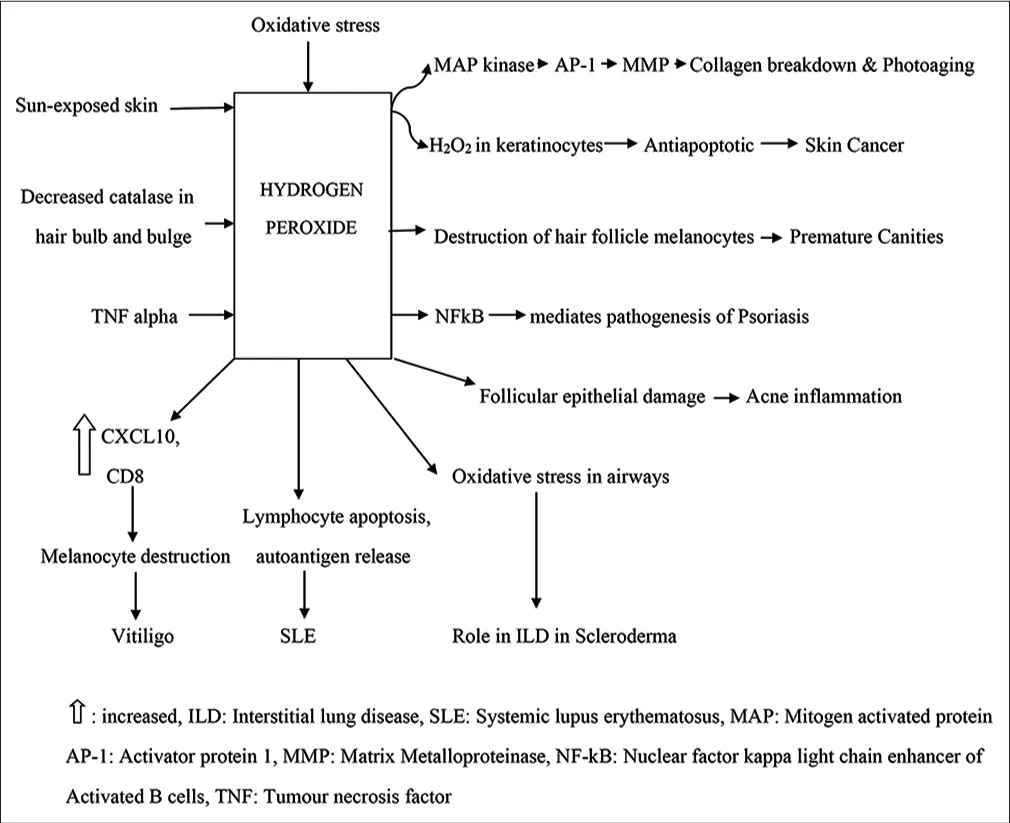 30502 skin irritation symptoms